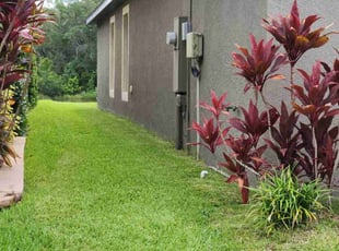Patrick K.'s turf care service result