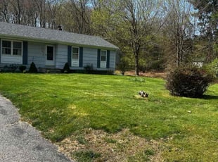 Gabriel C.'s turf care service result