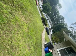 Frances T.'s lawn service service result