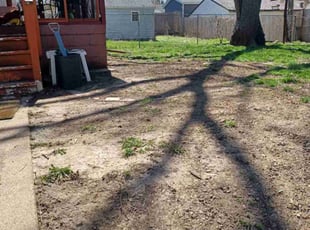 Melissa M.'s turf maintenance service result