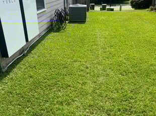 Kirby C.'s turf maintenance service result