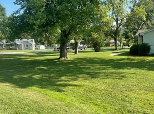 Kelly E.'s turf care service result