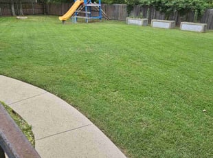 Betina B.'s grass maintenance service result