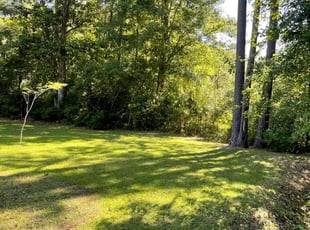 Karen S.'s grass maintenance service result