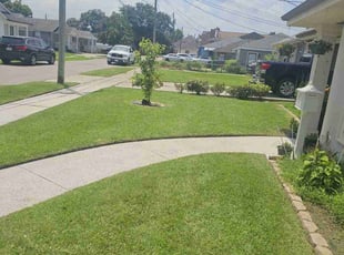 Donna D.'s grass maintenance service result