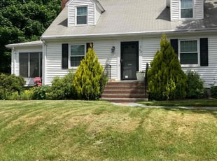 Nancy Z.'s grass maintenance service result