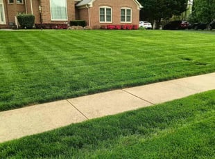 Andrew M.'s turf maintenance service result