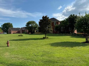 SARA E.'s lawn service service result