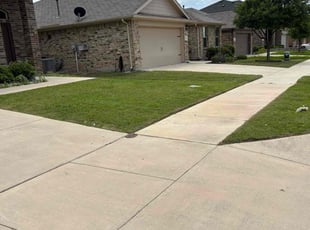 Preitus M.'s grass maintenance service result