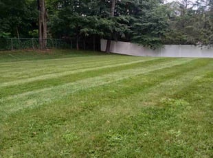 Elizabeth B.'s grass maintenance service result