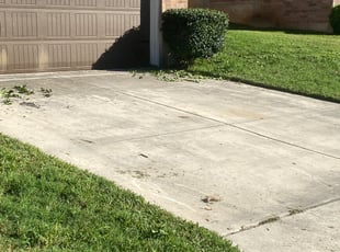 Paul M.'s Bush Trimming service result