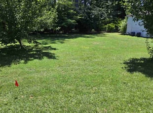 Hannah W.'s lawn care services service result
