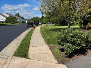 Sherrie C.'s turf care service result