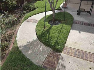 Zach C.'s turf care service result