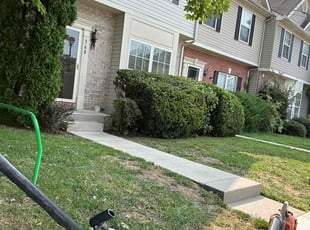 David S.'s Bush Trimming service result