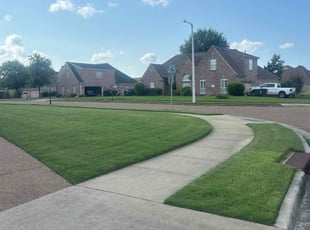 Terry N.'s turf care service result