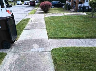 Lori H.'s lawn service service result