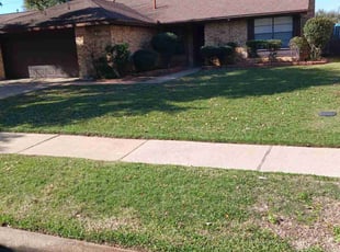 Jayson W.'s lawn care service result