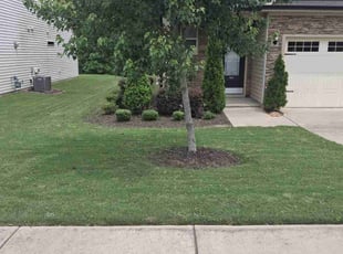 Grace B.'s turf care service result