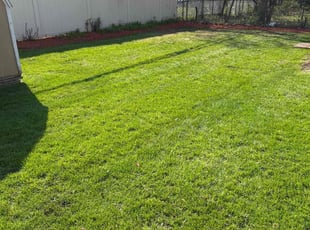 Johnny P.'s Cleanups service result