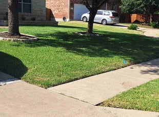 Dachelle J.'s landscaping services service result