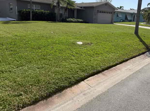 Jere F.'s lawn care service result