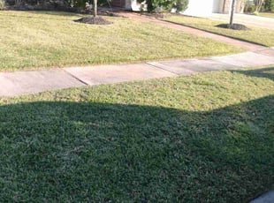 Jerry H.'s lawn maintenance service result