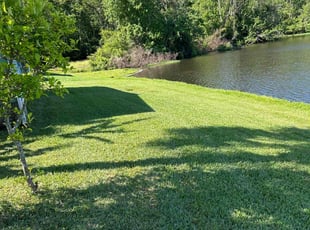 Ashleigh S.'s lawn maintenance service result