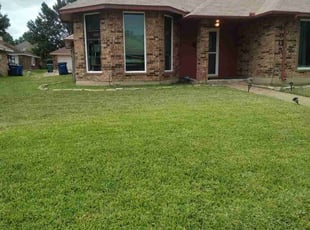 Jackie M.'s lawn care service result