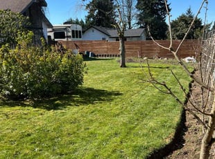 Shelby A.'s lawn service service result