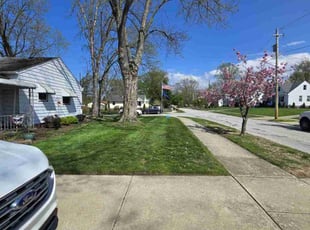 Erica C.'s turf care service result