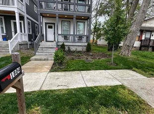 Ruth M.'s turf care service result