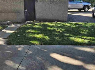 Shannon L.'s grass maintenance service result