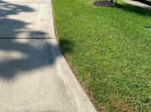 Govind R.'s turf maintenance service result