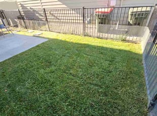 Tarrant J.'s lawn care service result