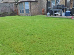 Branden H.'s turf maintenance service result