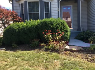 Kevin L.'s Flower Bed Weeding service result