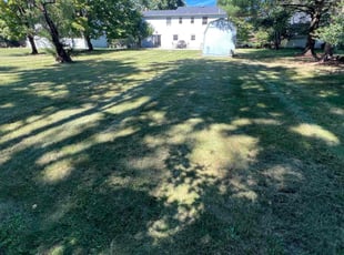 Ingrid E.'s lawn service service result