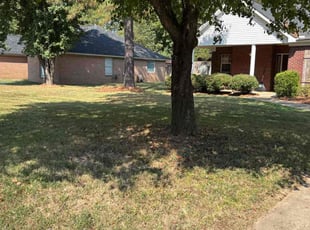 David M.'s grass maintenance service result