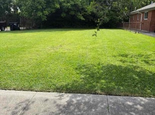 Angela M.'s lawn service service result