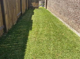 Mark N.'s grass maintenance service result