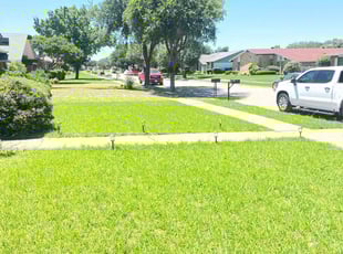 Mary B.'s turf maintenance service result