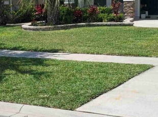 Billie H.'s lawn care services service result