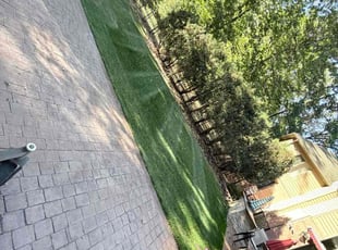 Bryan A.'s lawn service service result