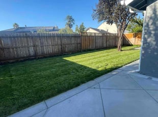 Jeremy C.'s lawn care service result