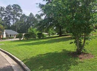 Krystle M.'s turf maintenance service result
