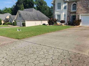 Andre D.'s turf care service result