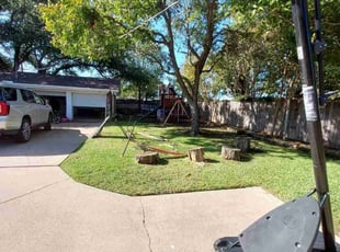 Sally M.'s lawn care service result