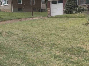 Jeffrey G.'s turf maintenance service result