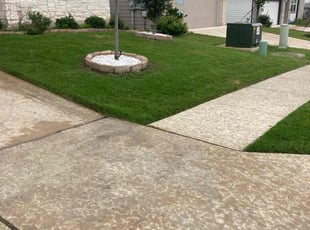 Richard M.'s turf care service result